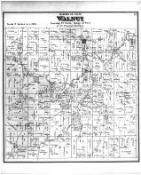Walnut Township, Peru, Ohio PO, Madison County 1875